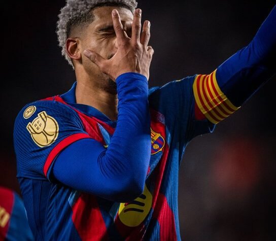 Araujo